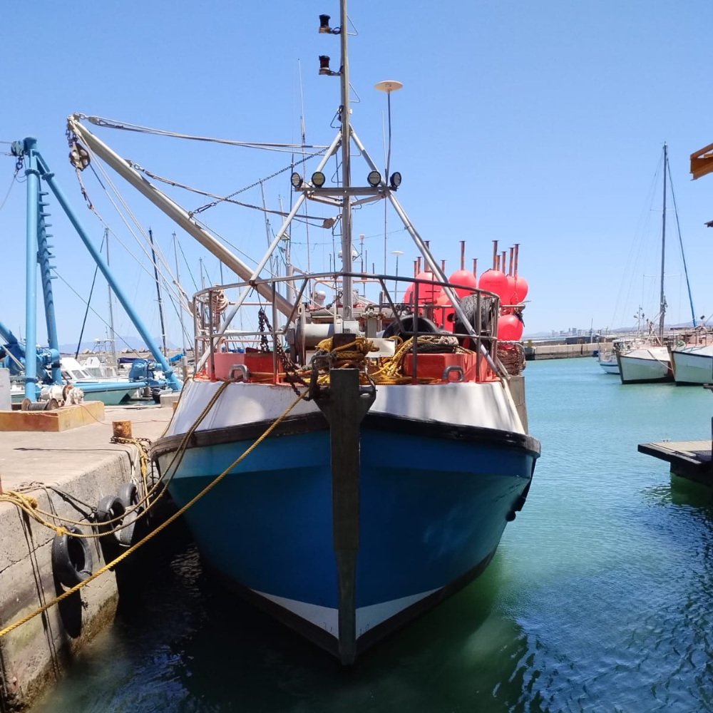 You are currently viewing Lambert’s Bay